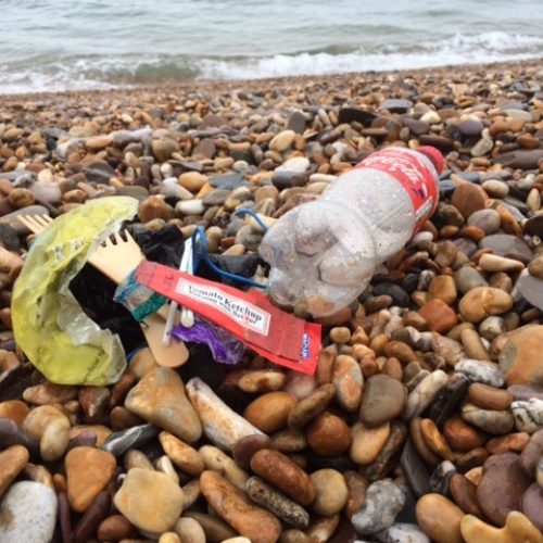 Torcross 2 Minute Beach Clean
