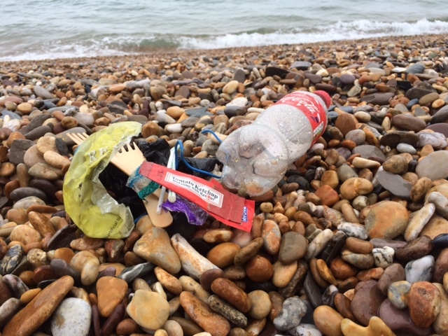 Torcross 2 Minute Beach Clean