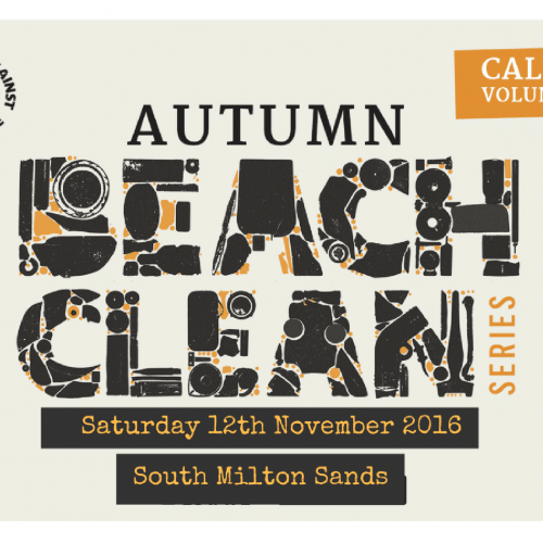 SAS beach clean at south milton sands
