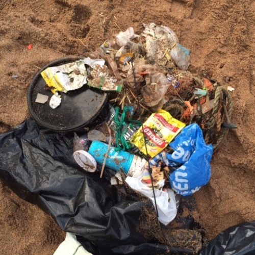 SAS beach clean South Milton Sands