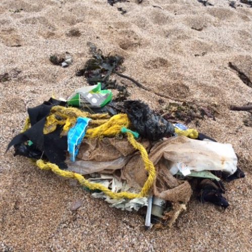 marine litter at south milton sands
