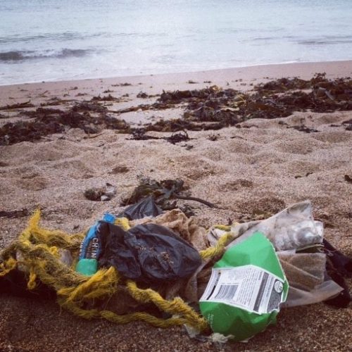 marine litter south sands beach