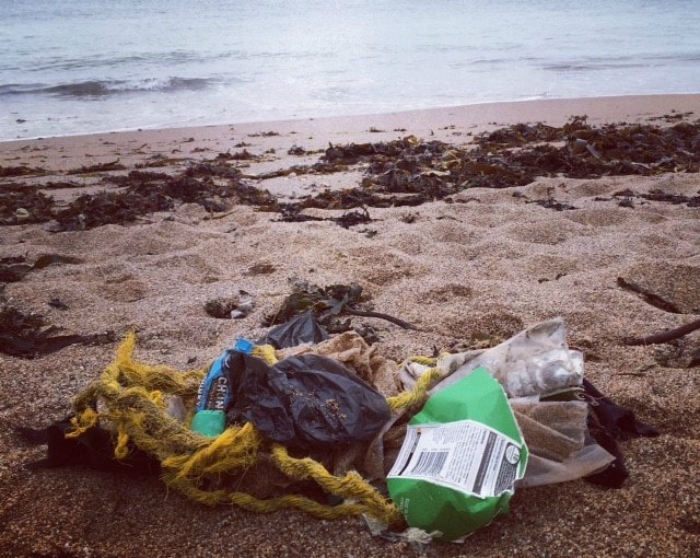 marine litter south sands beach