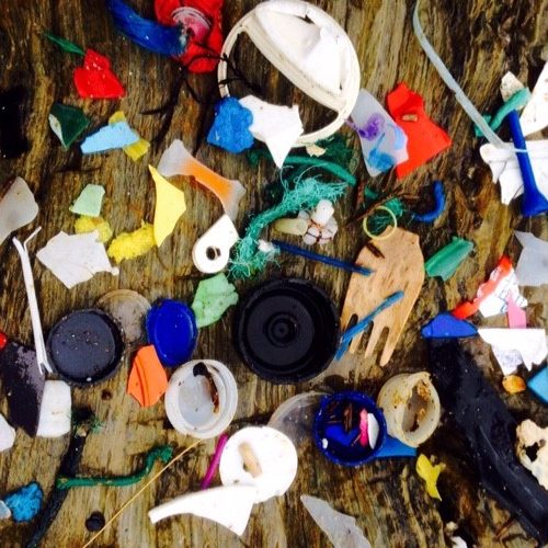 ocean plastic