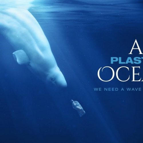 a plastic ocean