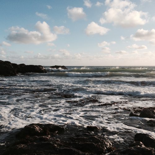 turn the tide on ocean plastic