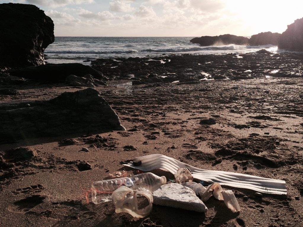 mattiscombe sands ocean plastic 