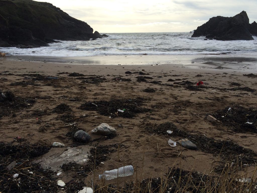 soar mill cove ocean plastic pollution