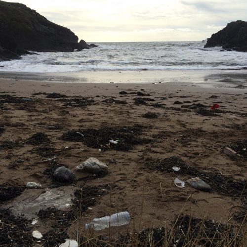 soar mill cove ocean plastic pollution