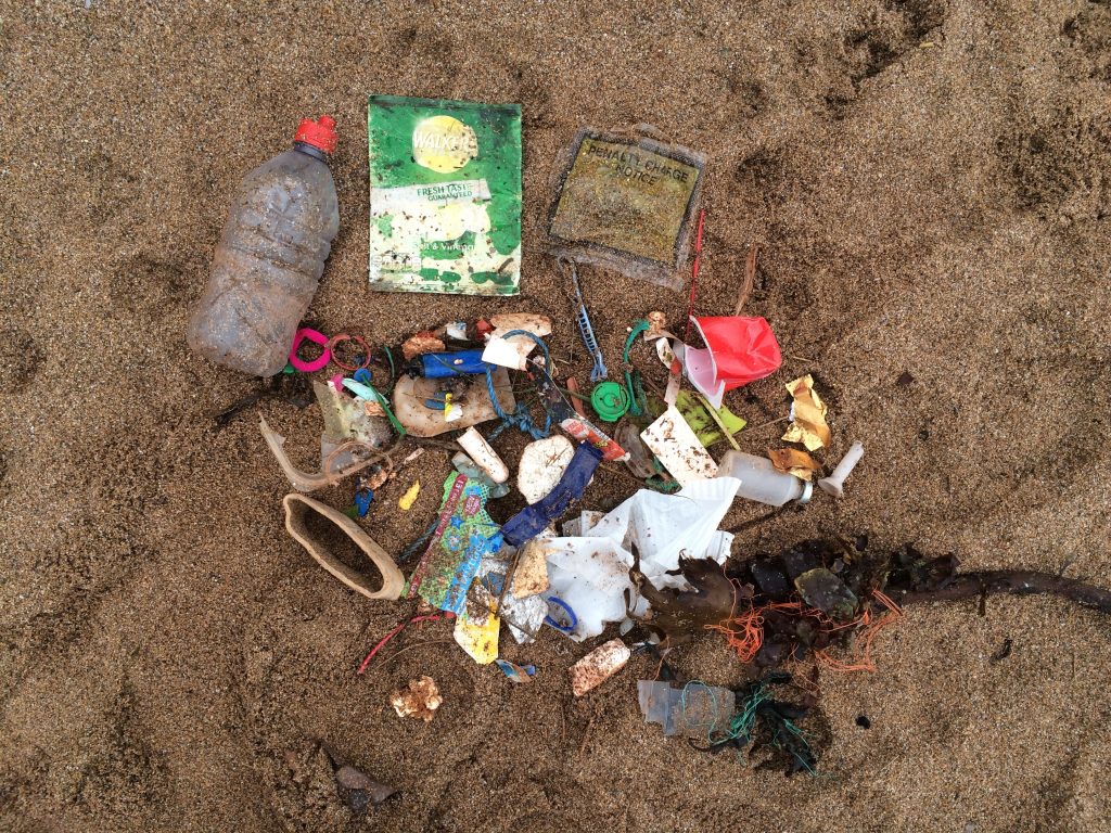 mini beach clean at south milton sands