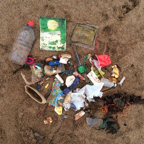mini beach clean at south milton sands