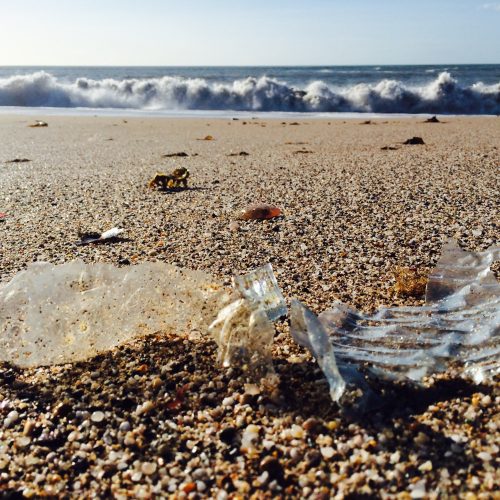 plastic bottle on beach