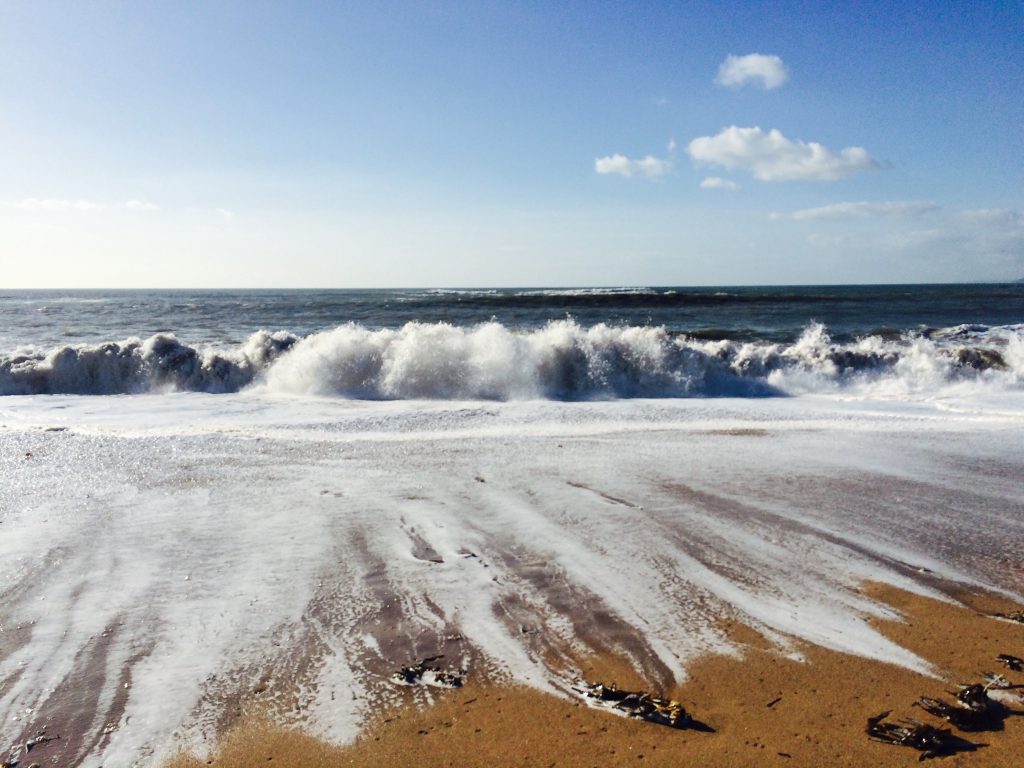 beautiful plastic free beach