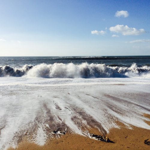 beautiful plastic free beach