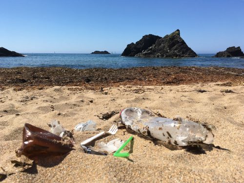 plastic on the beach at soar mill cove