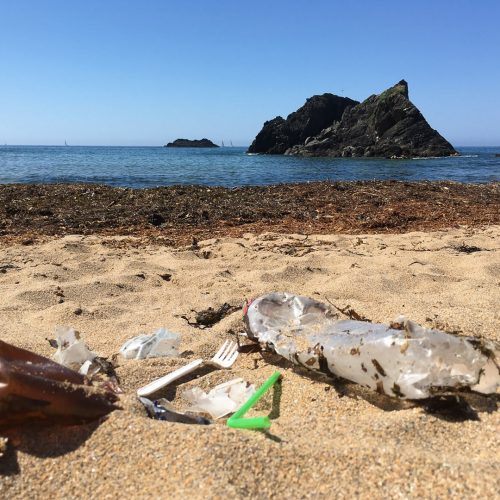 plastic on the beach at soar mill cove