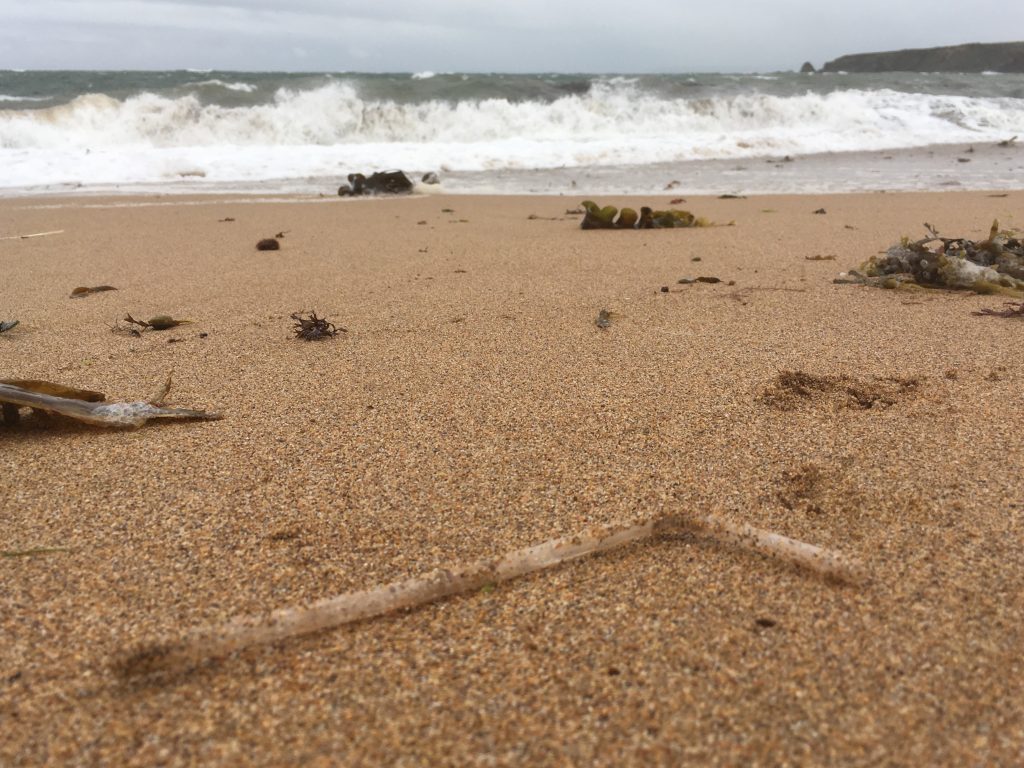 plastic straw on a beach