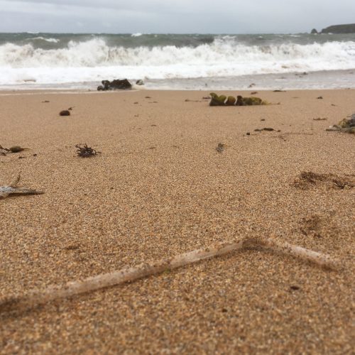 plastic straw on a beach