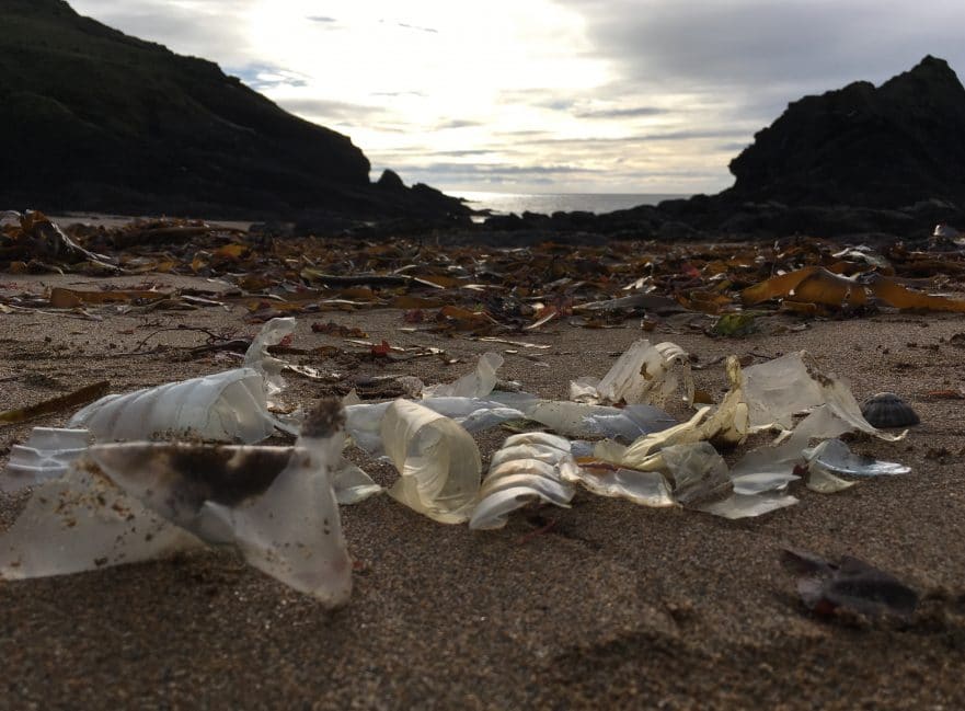 plastic bottle fragments in the ocean