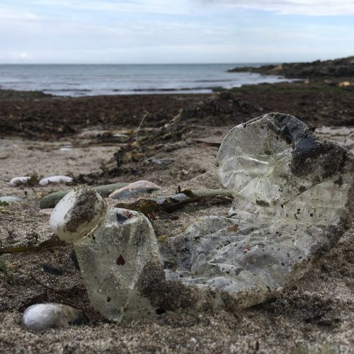 plastic bottle on east prawle beach