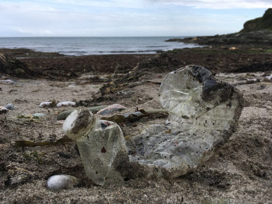 plastic bottle on east prawle beach
