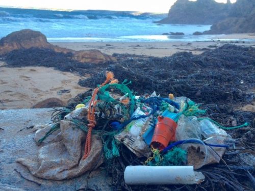 plastic washed up on beach at Hope Cove