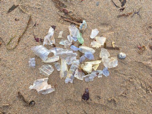 single-use plastic water bottle fragments on beach