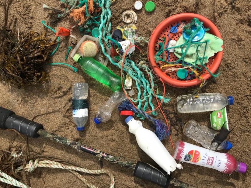 soar mill cove beach clean