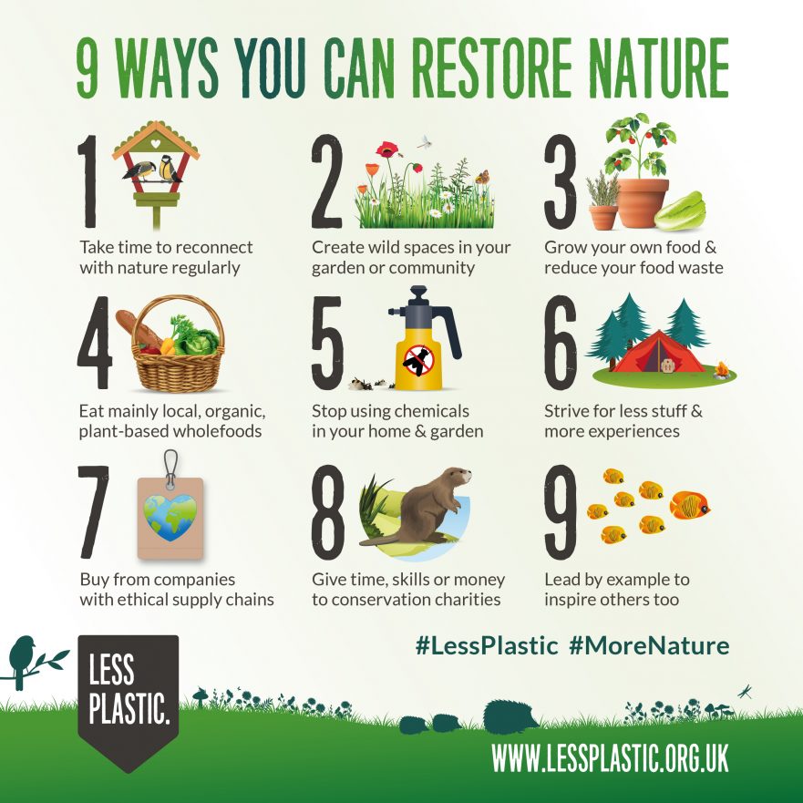 9 ways you can restore nature