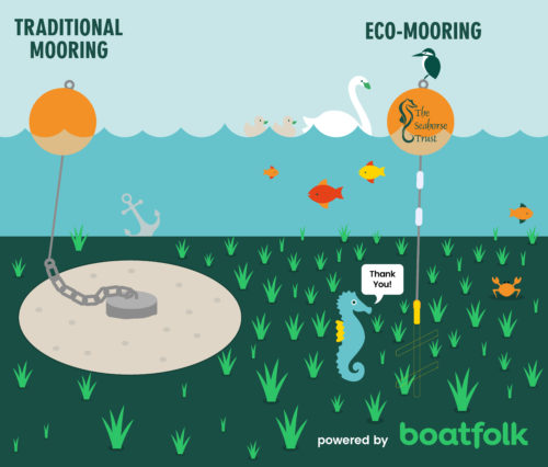the seahorse trust eco-friendly mooring